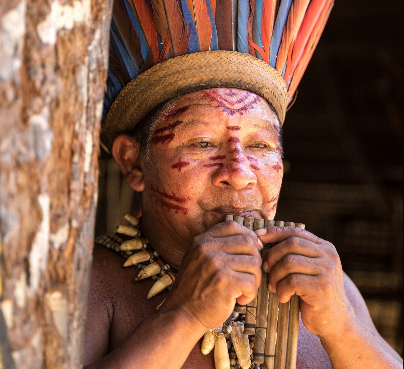 Featured Image